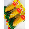 Hoge kwaliteit Good Tasty Sweet Fruit Corn